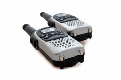 AEG Voxtel R100