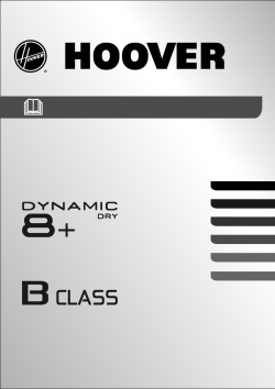 Hoover DYC 88132 XB-S