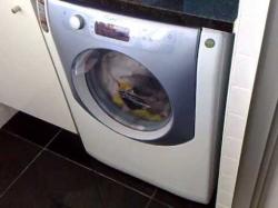 Hotpoint Aqualtis AQ8D 49 U